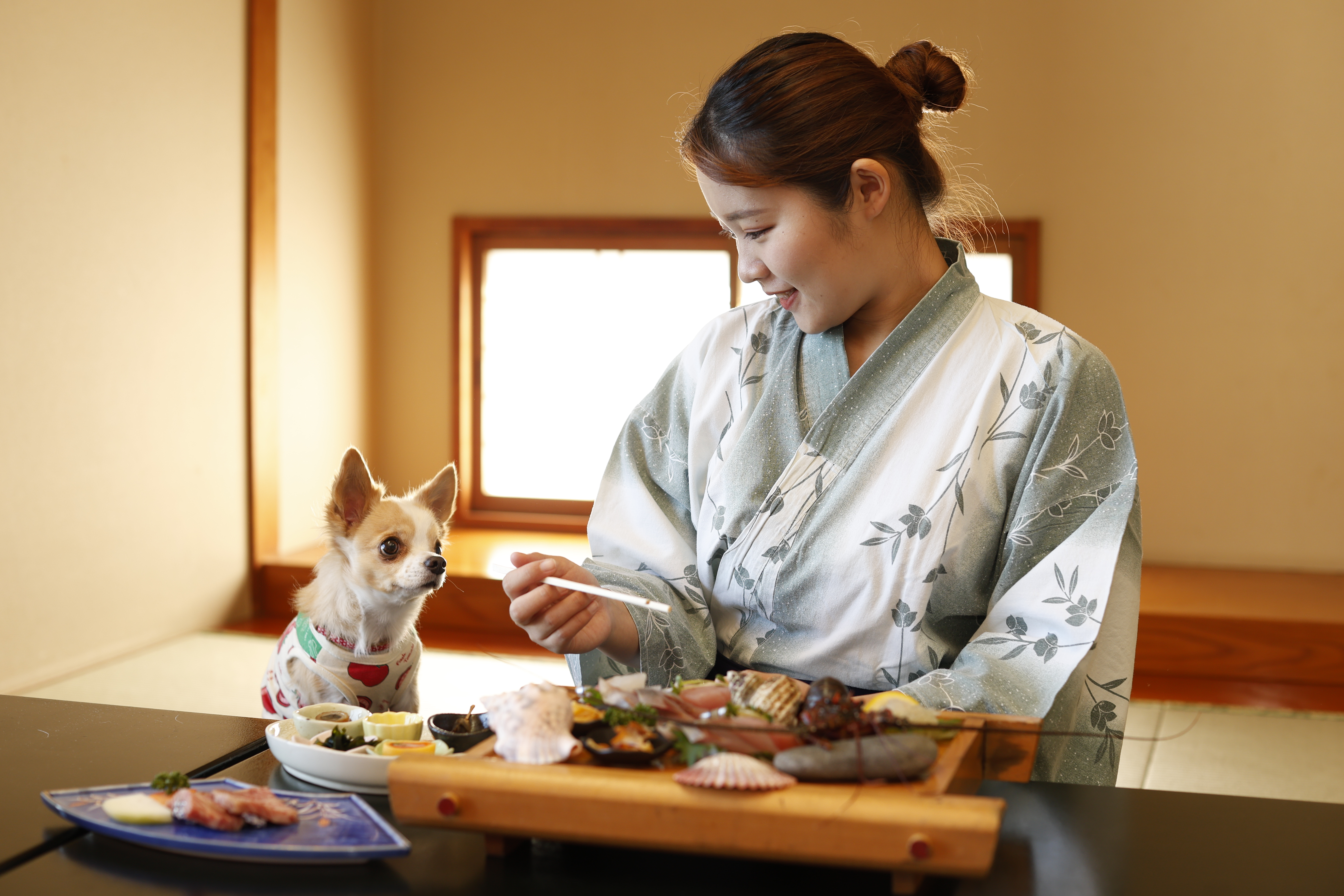 秀丸花ごころ